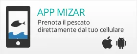 App MIZAR